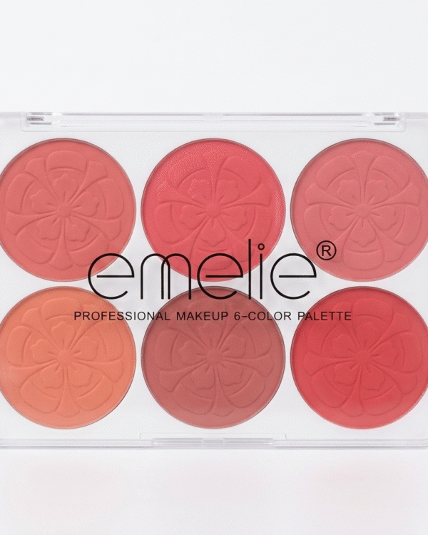 Emelie Blusher 6 in 1 Palette Matte & Shimmer Face Blush Kit Long Lasting Makeup Blush Palette